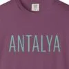 antalya-mint-line-tee-berry-chest Antalya Mint Line Tee