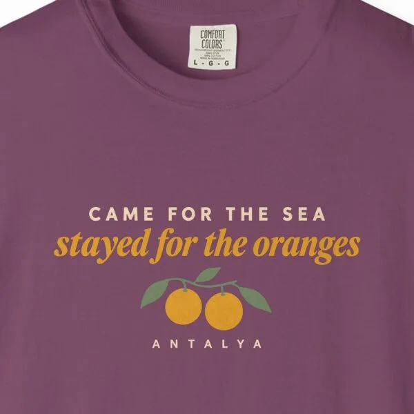 Came for the Sea Night Tee