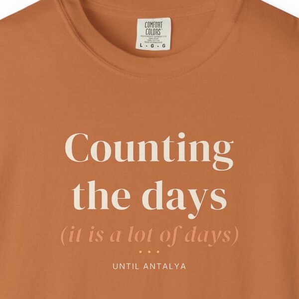 Counting the Days Night Tee