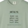 First Four Turkish Words Tee