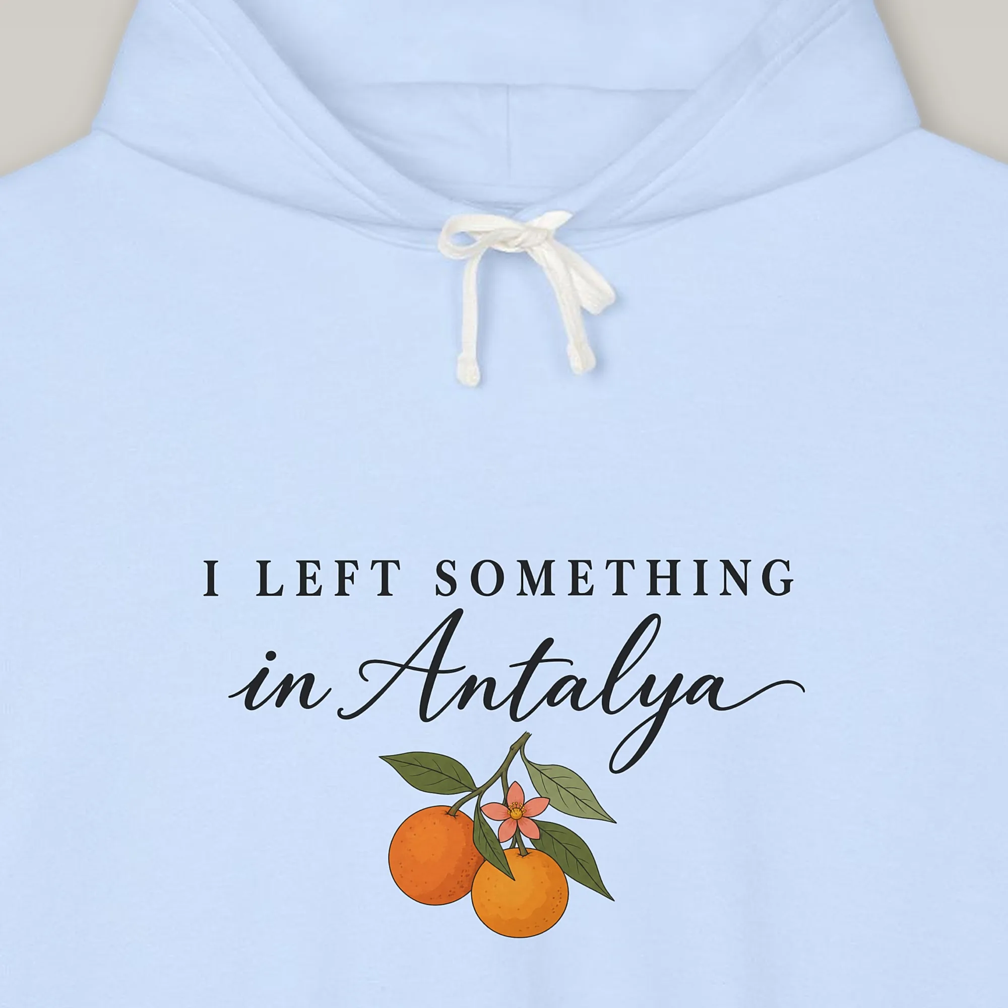 I Left Something in Antalya Hoodie