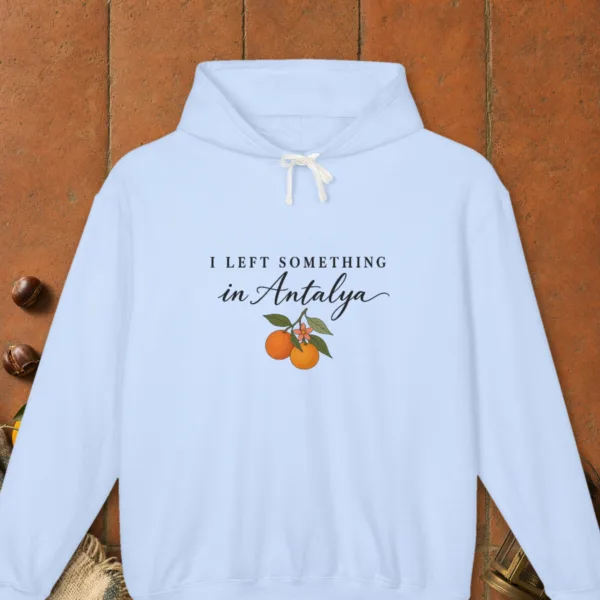 I Left Something in Antalya Hoodie