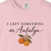 I Left Something in Antalya Tee