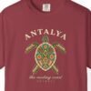 Kilim Turtle Tee