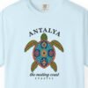 Nesting Coast Turtle Tee