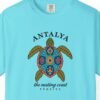 Nesting Coast Turtle Tee