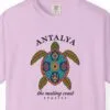 Nesting Coast Turtle Tee