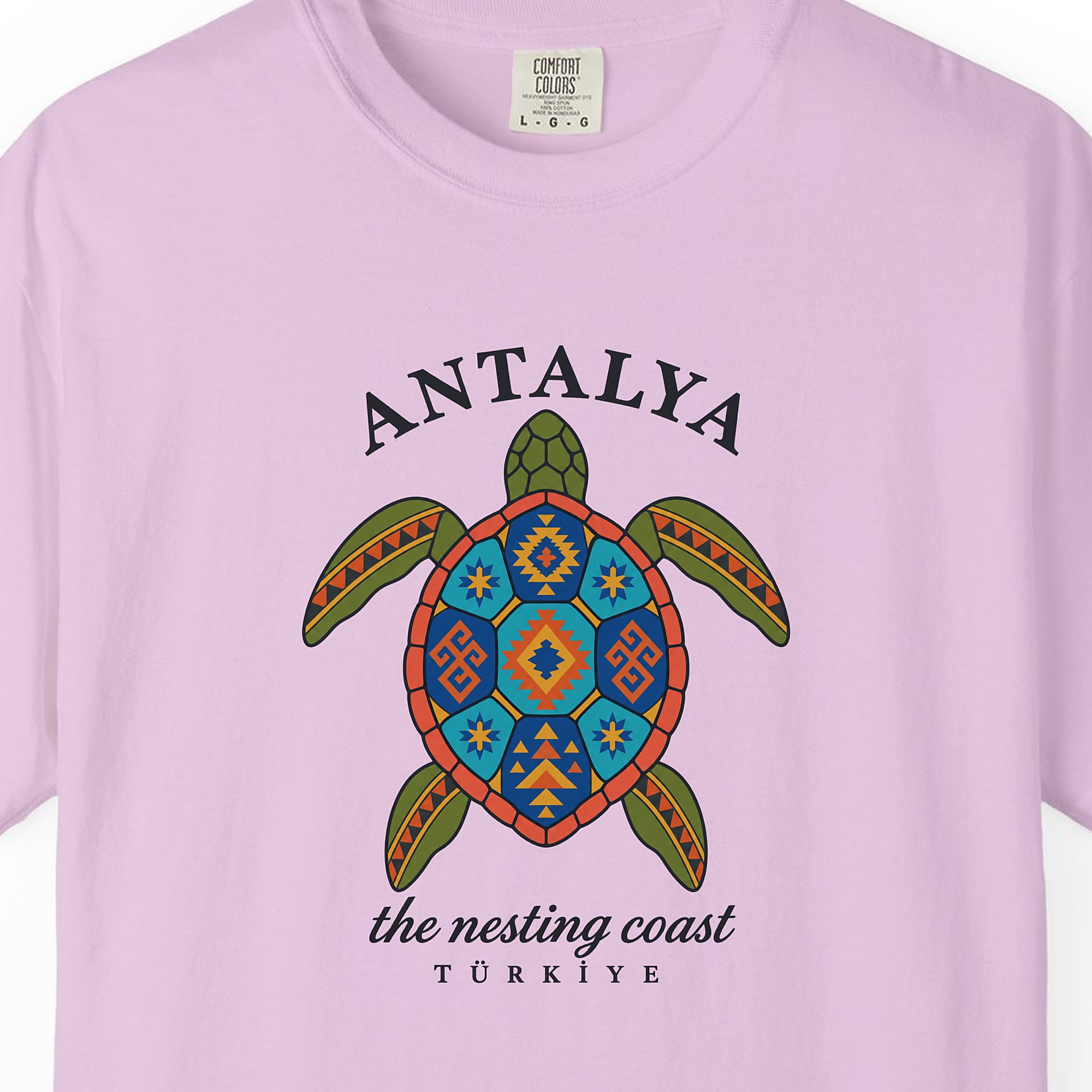 Nesting Coast Turtle Tee