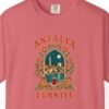 old-town-at-night-arch-tee-watermelon-chest Old Town at Night Arch Tee