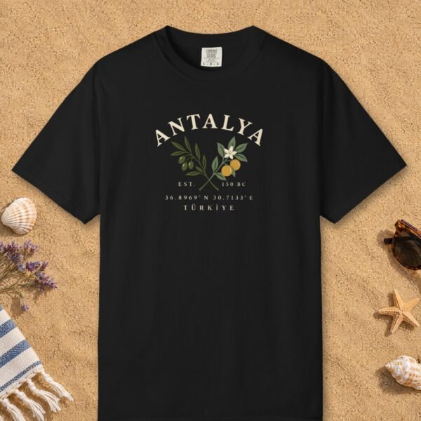 Olive and Orange Coordinates Tee