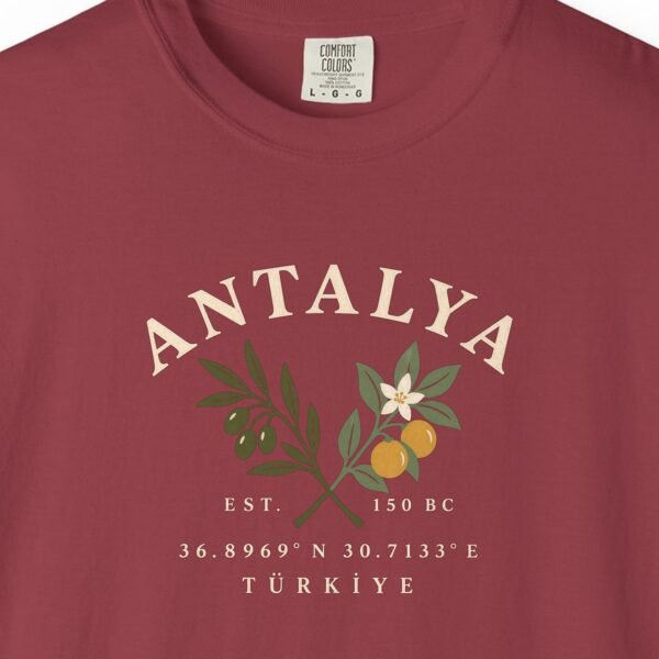 Olive and Orange Coordinates Tee