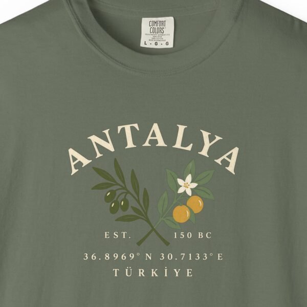Olive and Orange Coordinates Tee