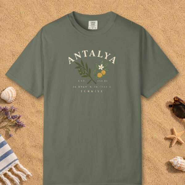 Olive and Orange Coordinates Tee