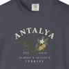 Olive and Orange Coordinates Tee