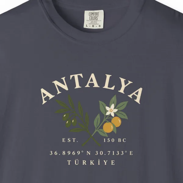 Olive and Orange Coordinates Tee