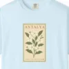 Orange Blossom Card Tee