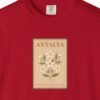 Orange Blossom Stamp Night Tee