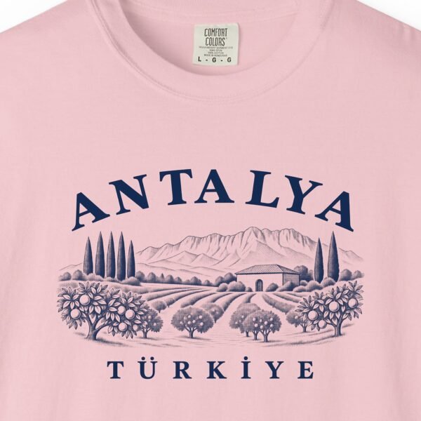 Orange Groves Engraving Tee