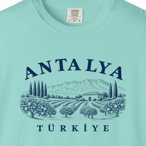 Orange Groves Engraving Tee