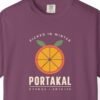 Portakal Picked in Winter Night Tee