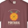 Portakal Picked in Winter Night Tee