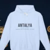 Turquoise Coast Athletic Dept Hoodie