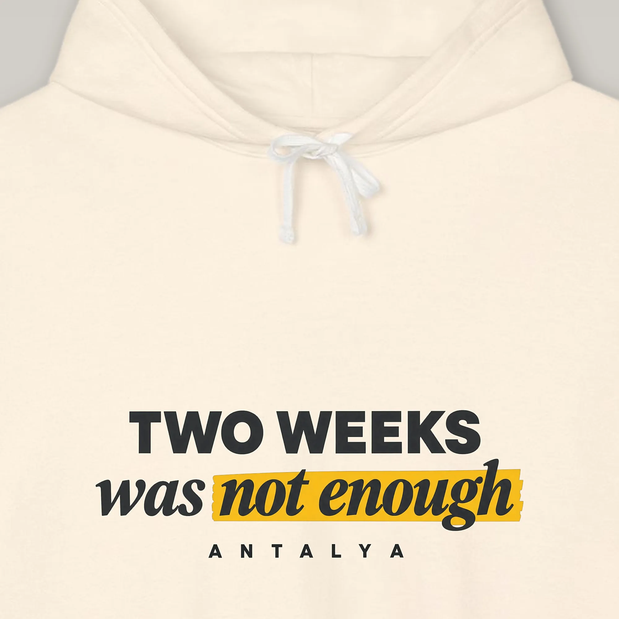 Two Weeks Was Not Enough Hoodie
