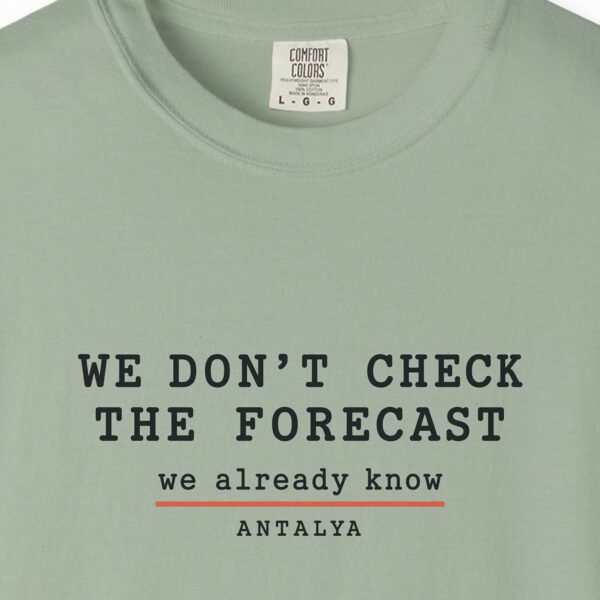 We Don't Check the Forecast Day Tee