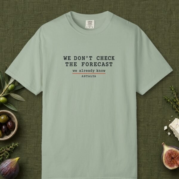 We Don't Check the Forecast Day Tee
