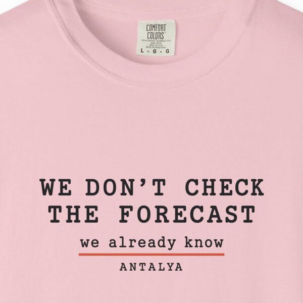 We Don't Check the Forecast Day Tee