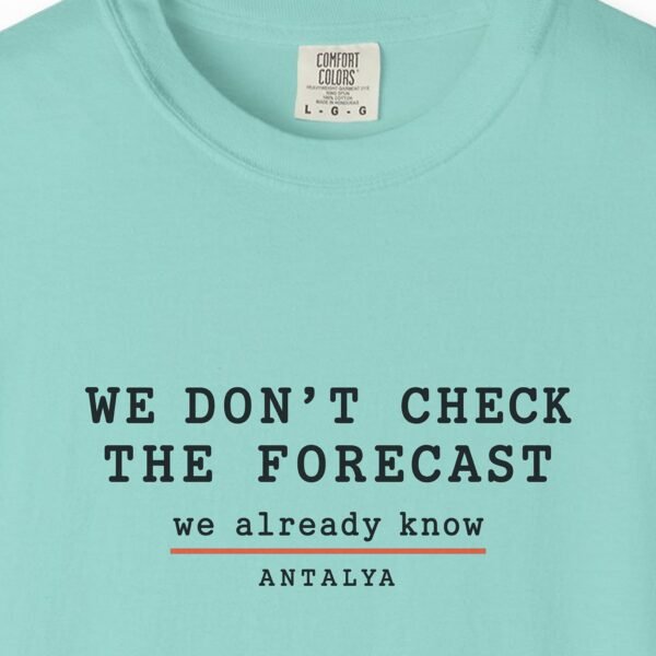 We Don't Check the Forecast Day Tee
