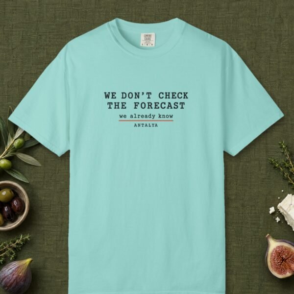 We Don't Check the Forecast Day Tee