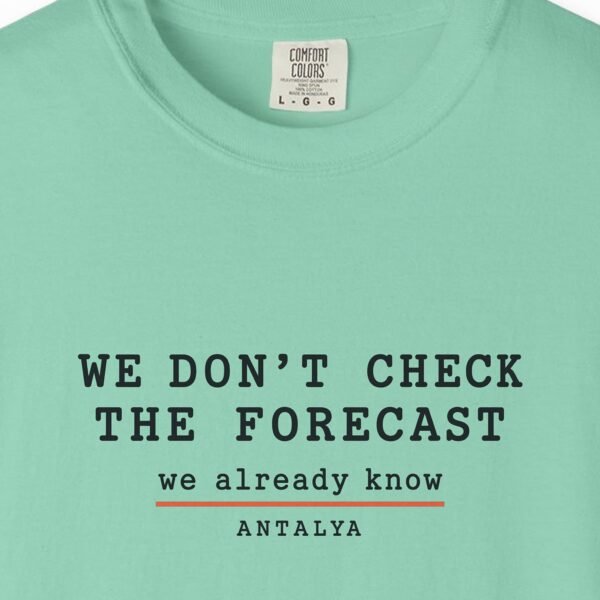 We Don't Check the Forecast Day Tee