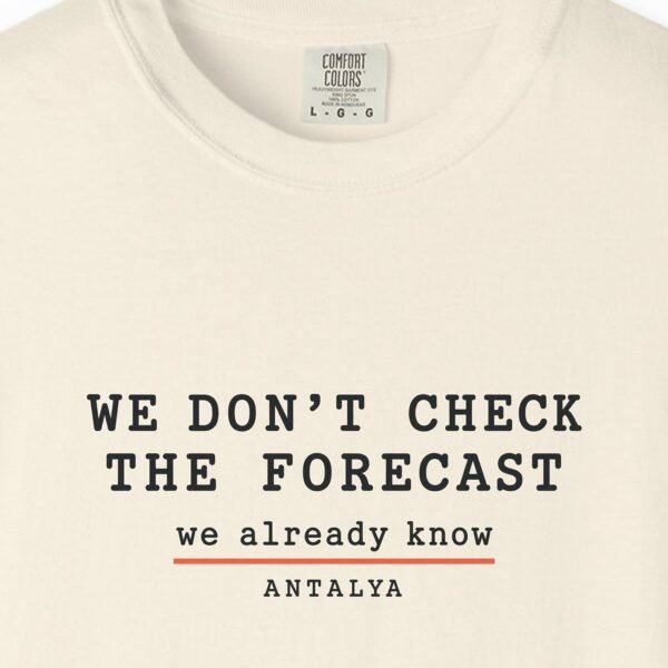 We Don't Check the Forecast Day Tee