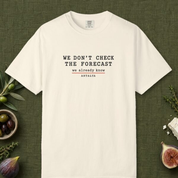We Don't Check the Forecast Day Tee