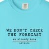 We Don't Check the Forecast Day Tee