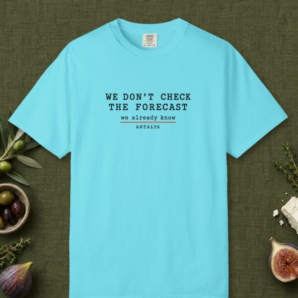 We Don't Check the Forecast Day Tee