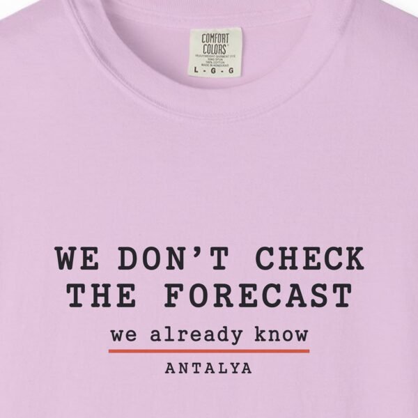 We Don't Check the Forecast Day Tee