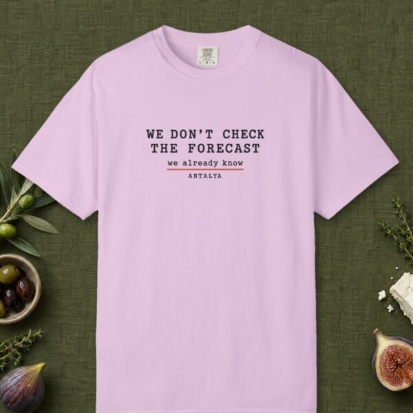 We Don't Check the Forecast Day Tee