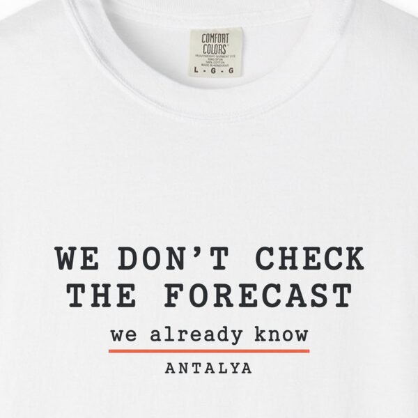 We Don't Check the Forecast Day Tee