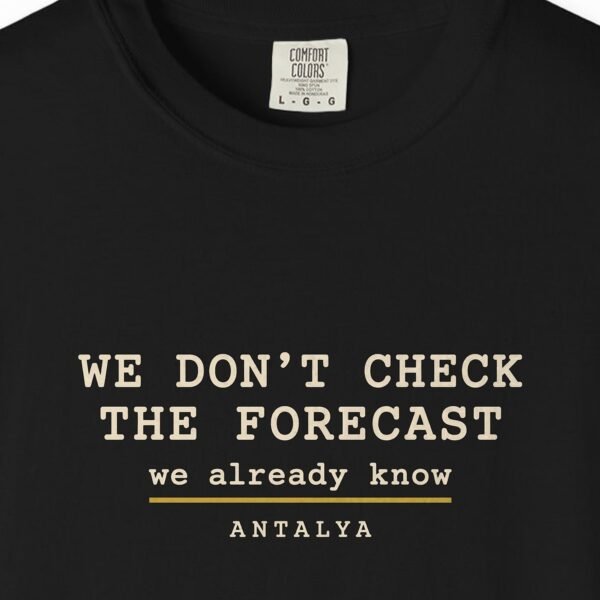 We Don't Check the Forecast Night Tee
