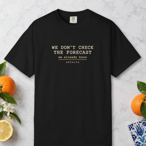 We Don't Check the Forecast Night Tee