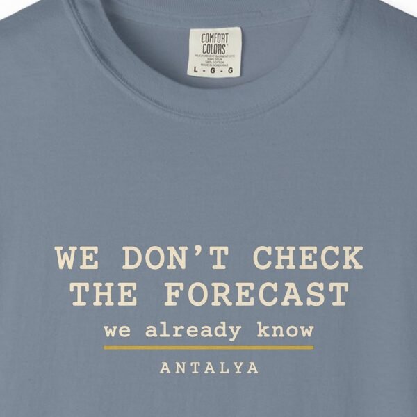 We Don't Check the Forecast Night Tee