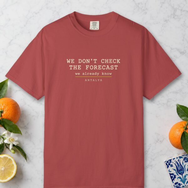 We Don't Check the Forecast Night Tee