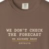 We Don't Check the Forecast Night Tee