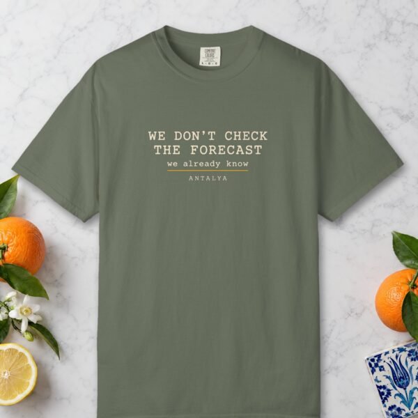 We Don't Check the Forecast Night Tee