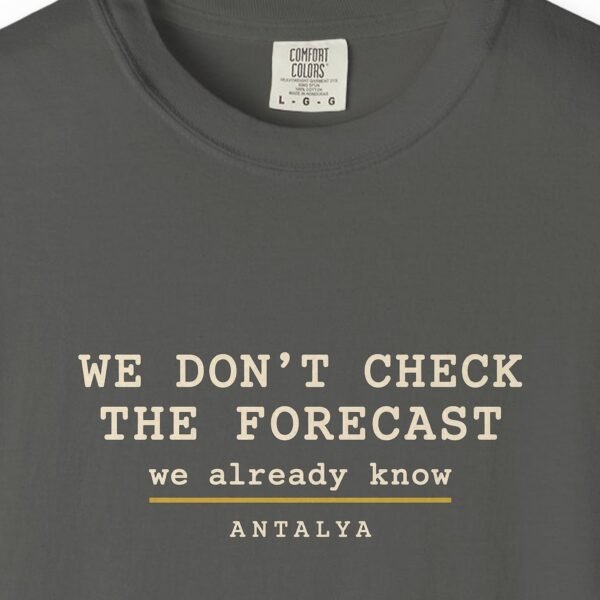 We Don't Check the Forecast Night Tee