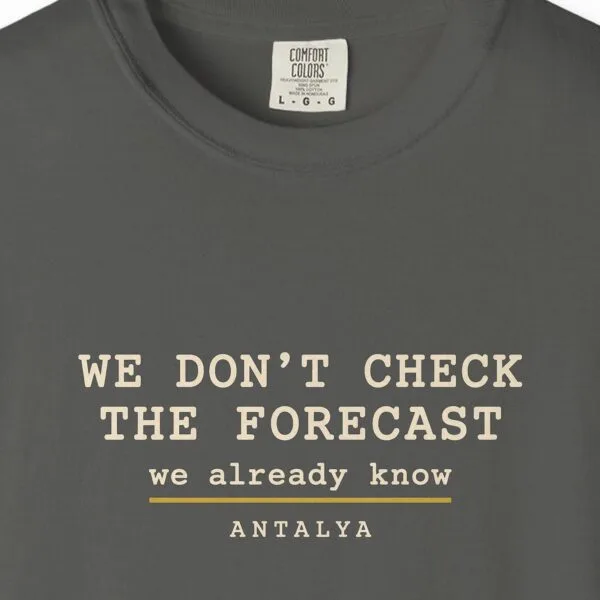 We Don't Check the Forecast Night Tee