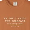 We Don't Check the Forecast Night Tee